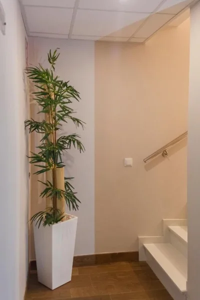 Hotel Boutique Barra Alta (Adults Only) — photo 3