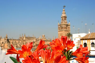 Hotel Boutique Casas de Santa Cruz — 写真 8