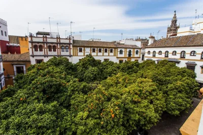 Hotel Boutique Elvira Plaza — foto 5