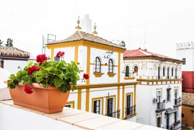 Hotel Boutique Elvira Plaza — foto 10