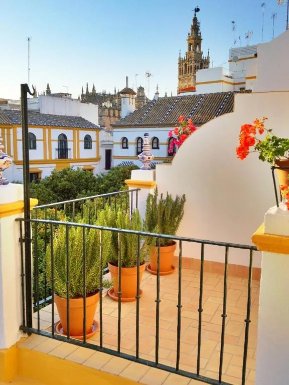 Suite Júnior com terraço — Hotel Boutique Elvira Plaza