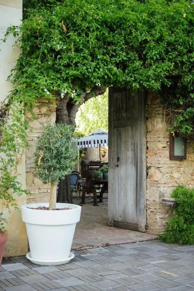 Hotel Boutique Moli El Canyisset - Only Adults — foto 8