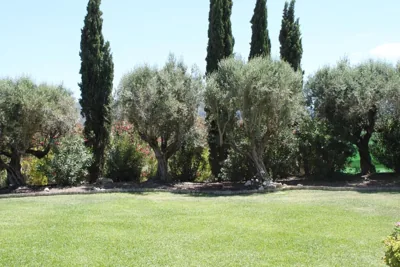 Hotel Boutique Moli El Canyisset - Only Adults — foto 10