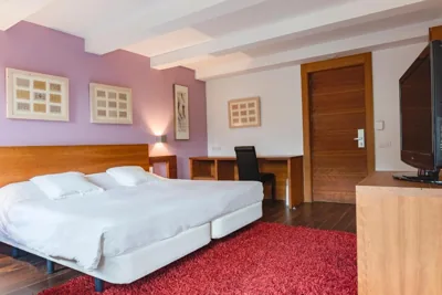 Hotel Cardós — 写真 8