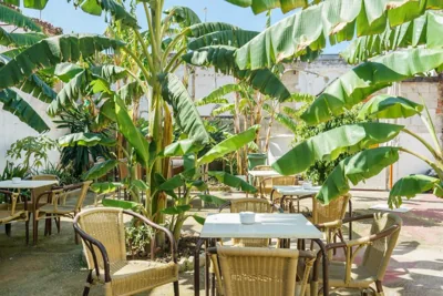 Hotel Carlos V Jerez by Vivere Stays — photo 4