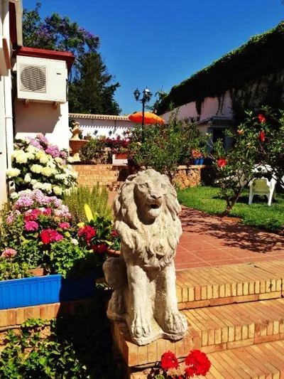Hotel Carmen Teresa — foto 11