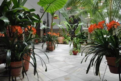 Hotel Casa de los Azulejos — foto 8