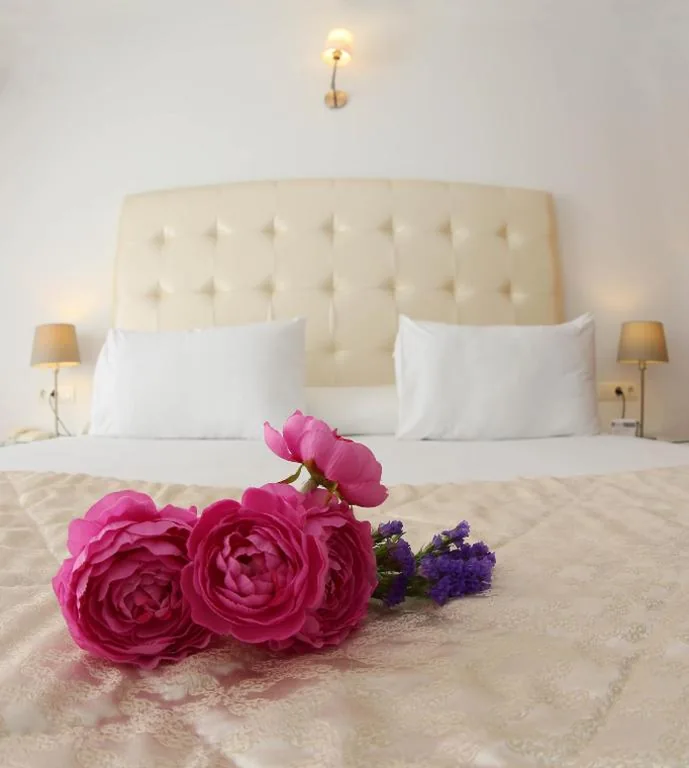 Habitación Doble Estándar - 1 o 2 camas — Hotel Casa Rosa