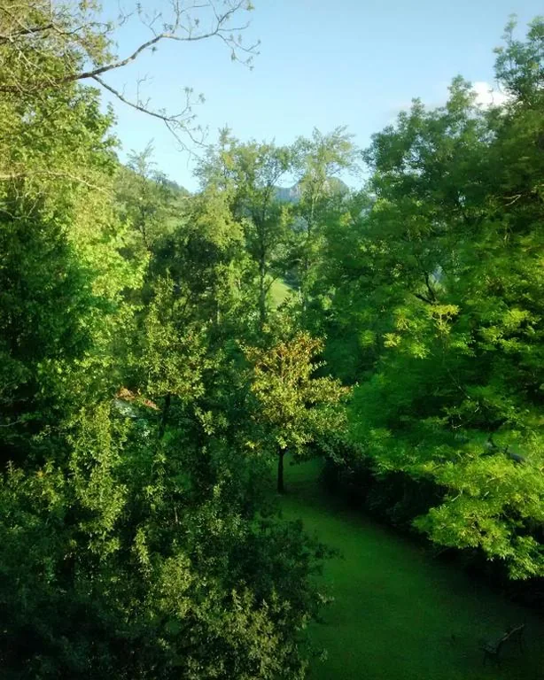 Camera doppia con vista sul giardino — Hotel Casona El Arral