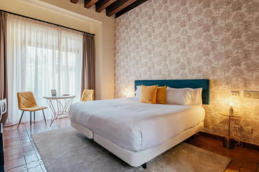 Deluxe Tweepersoonskamer - 1 of 2 bedden — Hotel Cetina Palacio Ayala Berganza