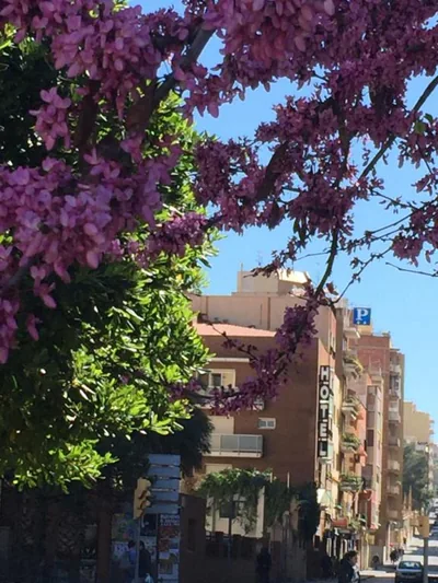 Hotel Cosmos Tarragona — foto 5