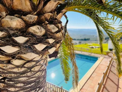 Hotel Cuatro Vientos — photo 4