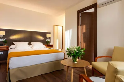 Hotel de Francia y París — foto 8