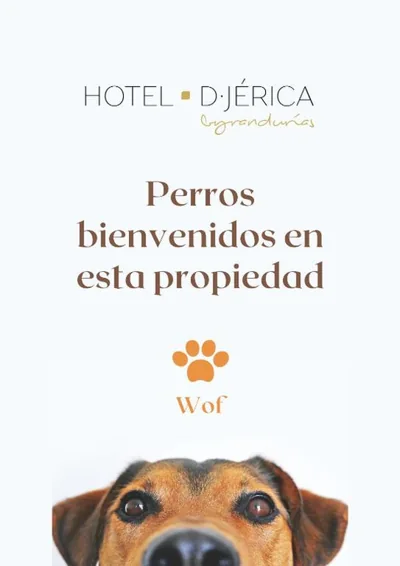 Hotel De Jerica — Foto 9