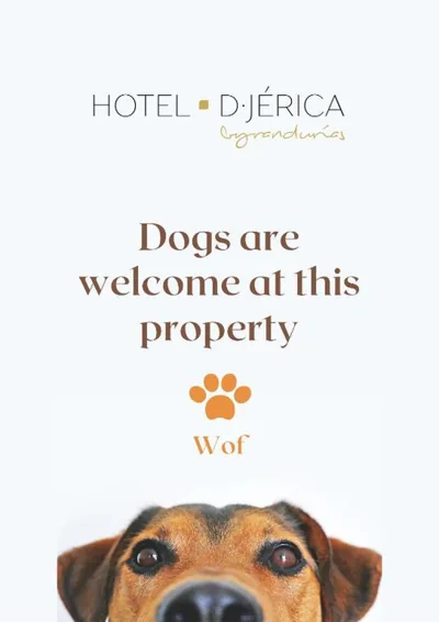 Hotel De Jerica — Foto 10