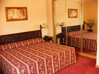 Hotel Don Luis — foto 8