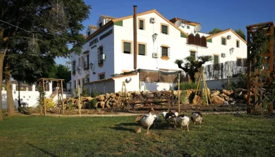Hotel Don Manuel — foto 5