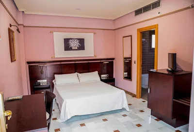 Hotel Don Miguel Plaza — foto 6