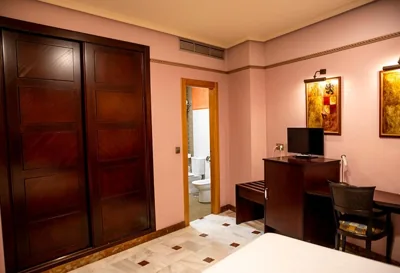 Hotel Don Miguel Plaza — foto 8