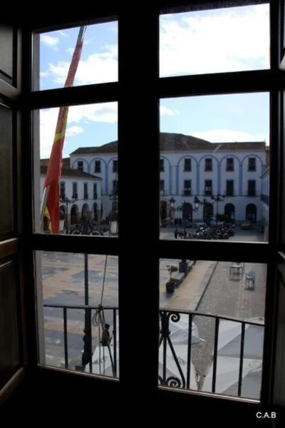 Hotel Don Miguel Plaza — foto 11