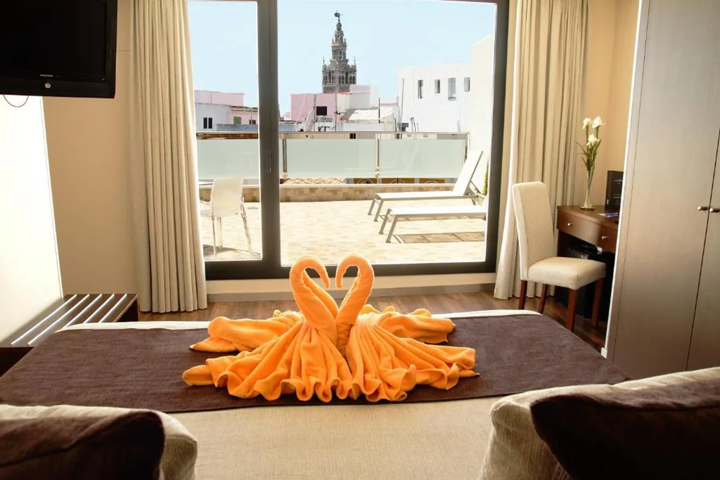 テラスとジェットバス付きプレミアムダブルルーム — Hotel Don Paco