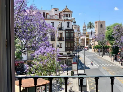 Hotel Doña Blanca — 写真 6