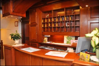 Hotel Edelweiss — foto 10