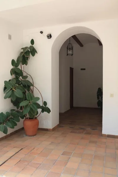 Hotel El Coloso — photo 7