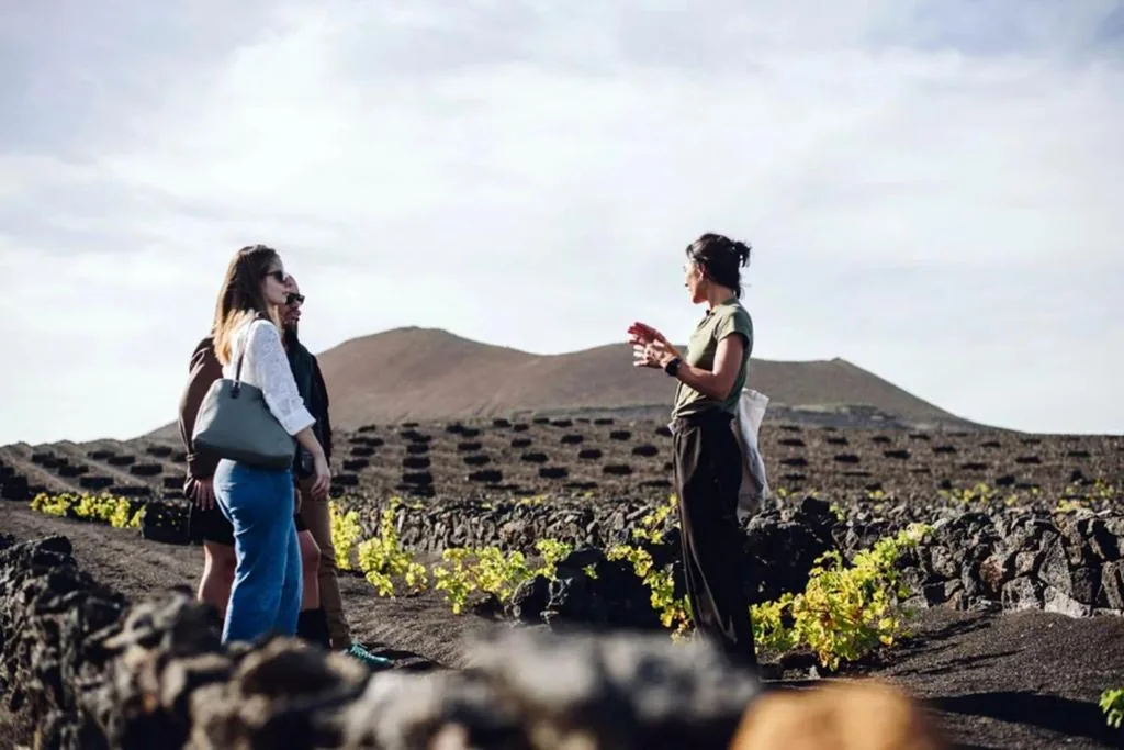 Double Room with access to Wine Tourism — Hotel EL GRIFO