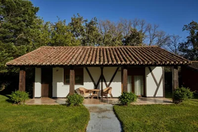 Hotel El Mirlo Blanco — 照片 6