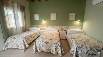 Hotel El Mirlo Blanco — 照片 8