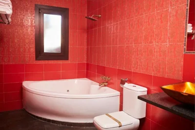 Hotel El Mirlo Blanco — 照片 12