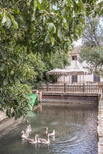 Hotel El Molino — foto 11