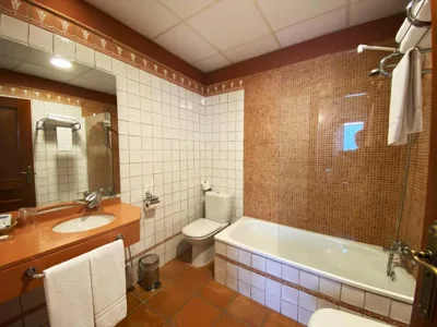 HOTEL EL RASTRO - Palacio Duque de Tamames - — Foto 7
