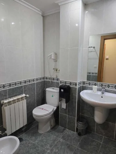 HOTEL EL ROBLE PALENTINO — foto 11