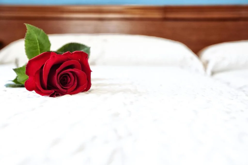 Habitación Doble con cama supletoria — Hotel Eladia