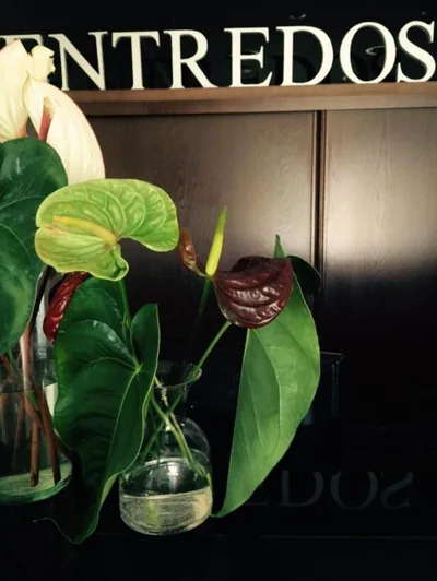Hotel Entredos — foto 10