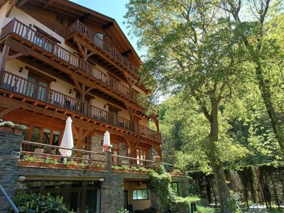 Hotel Estanys Blaus — foto 10