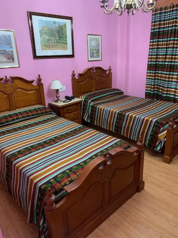 Standaard tweepersoonskamer met 2 bedden — Hotel Flor de la Mancha