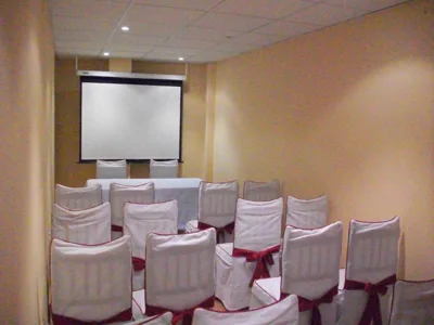 Hotel Flor de la Mancha — foto 4