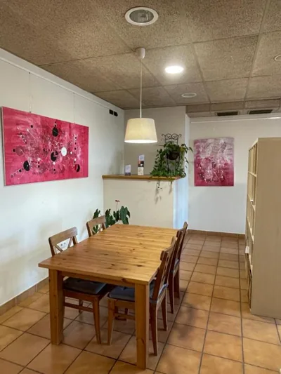 Hotel Font del Pla — foto 4