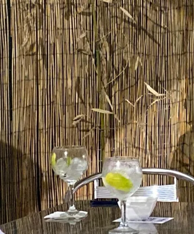 Hotel HM Alfaro — foto 10