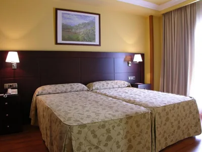 Hotel II Castillas Ávila — Foto 8
