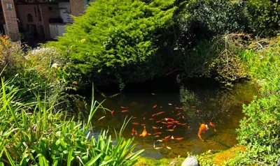 Hotel Jardín de Aura — Foto 5