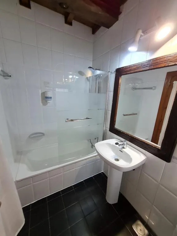 Camera singola classica con doccia — Hotel La Balsa