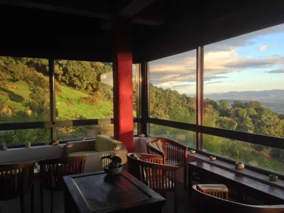 Hotel La Canela — photo 11