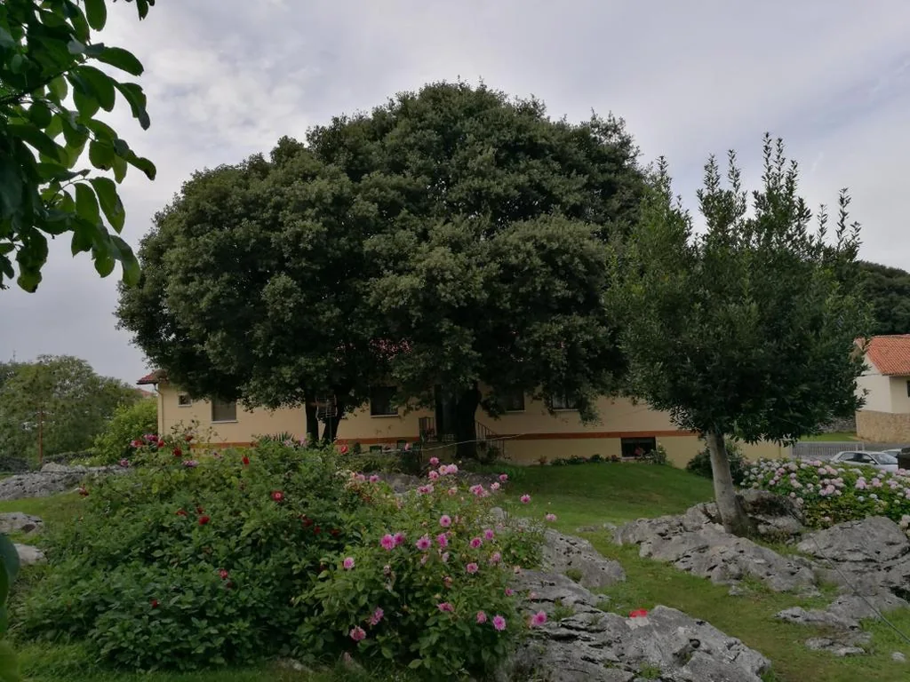 双人间 — Hotel La Encina Celorio Llanes PARKING