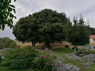 Hotel La Encina Celorio Llanes PARKING — 照片 11