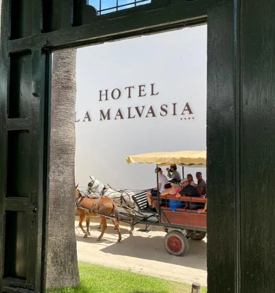 Hotel La Malvasía — foto 10