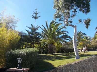 Hotel La Palma Romántica — 写真 11